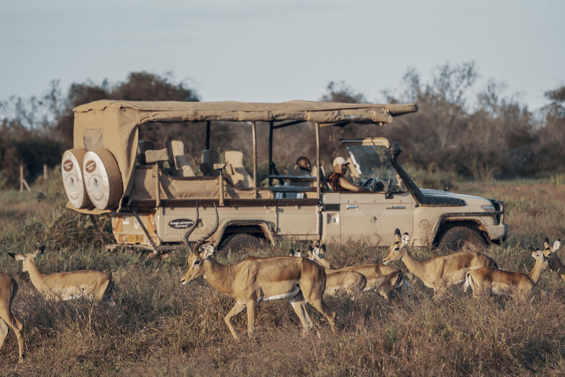 Game Drives In Selenkay Conservancy In Amboseli With Porini Camps